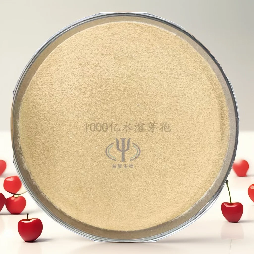 Reliable Quality Improve Immunity 2 Billion Bacillus Subtilis Feed Additives Shrimp