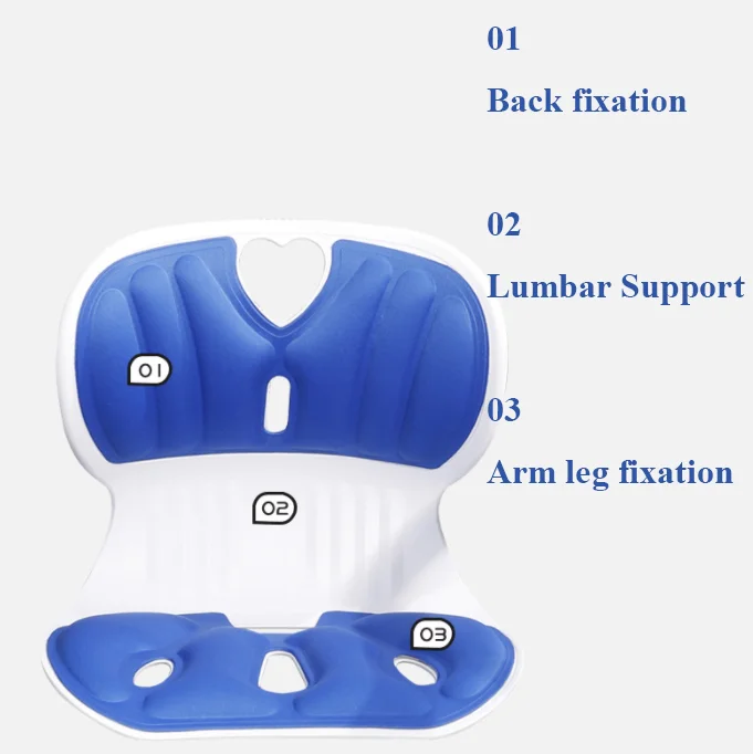 Ergonomic Large Size Back Support Chair, Back Posture Corrector and Lumbar Support for Back Pain Relief