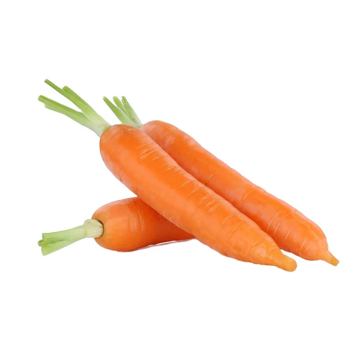New Fresh Carrot Seeds Wholesale Best Price Red Carrot New Crop