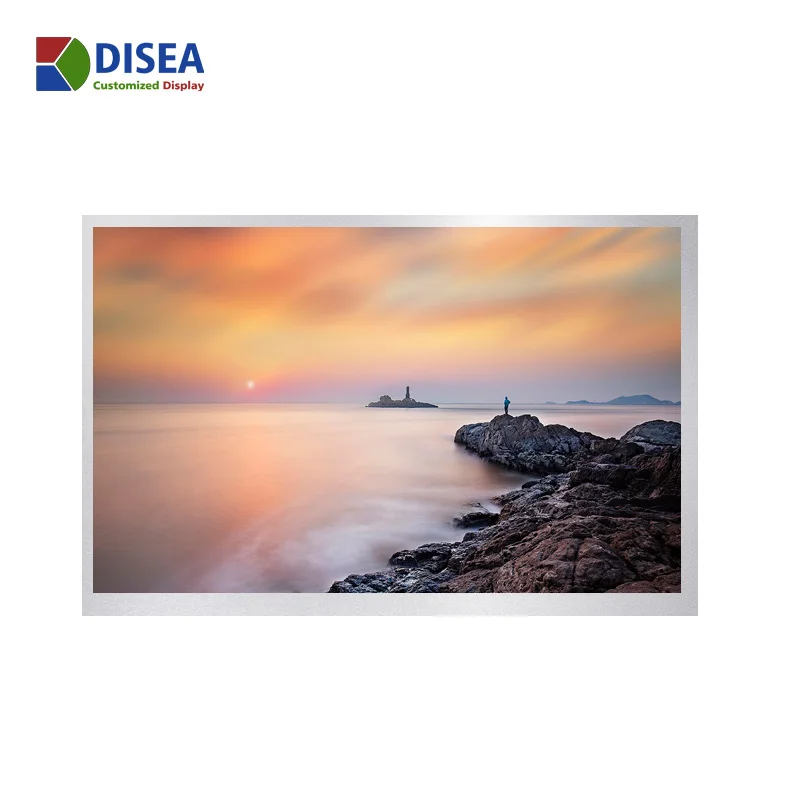 
DISEA customized 1280x800 LCD Screen LVDS/40PIN TFT Module 10.1 inch ips display  (1600263204632)