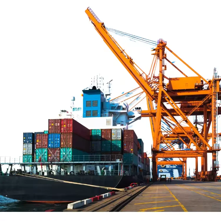 Drop Shipping Agent DDP Cargo Ship Agent UPS DHL Express Sea Shipping Air Freight Forwarder China to India Thailand  Middle East