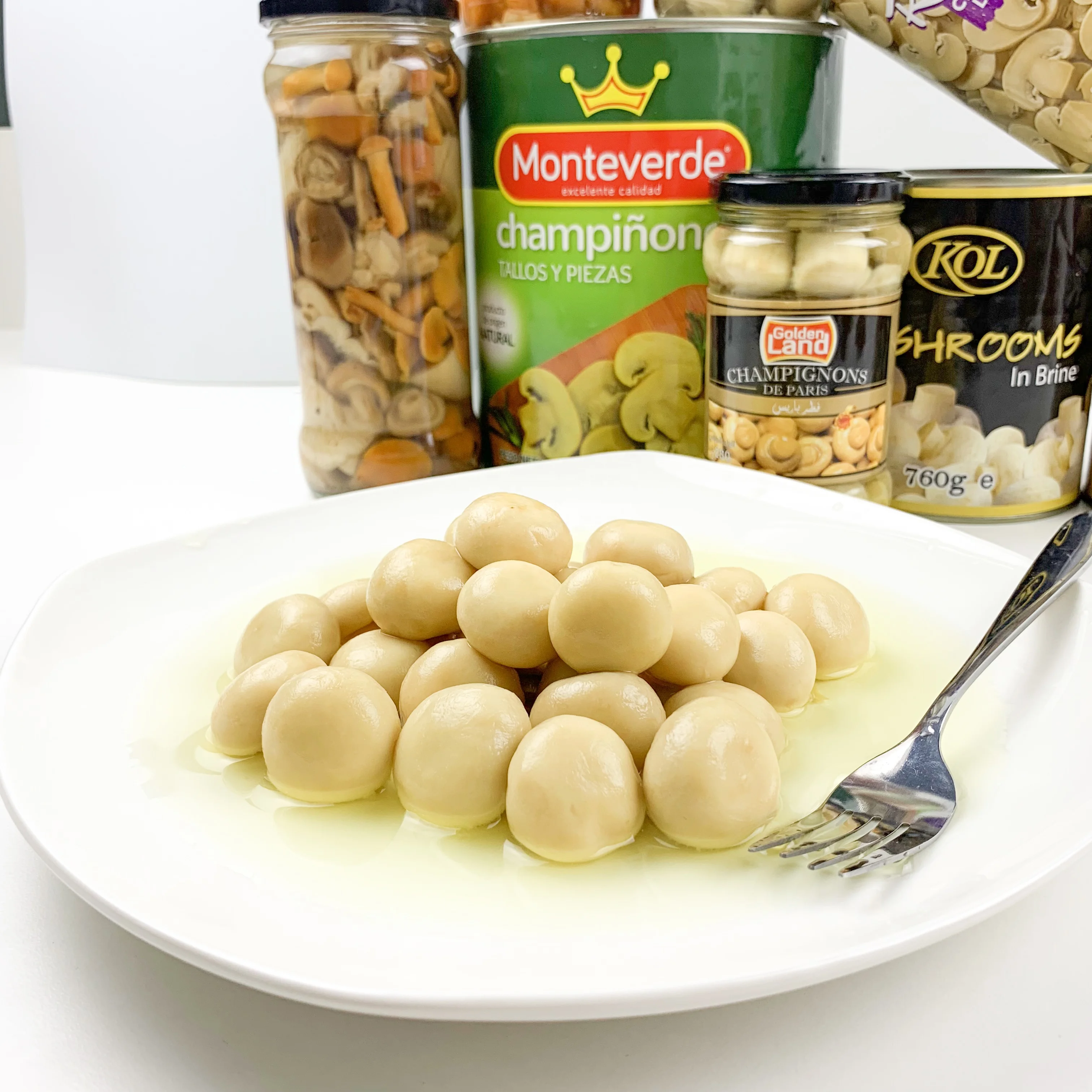 best canned mushrooms  champignon in brine cans wholesale price