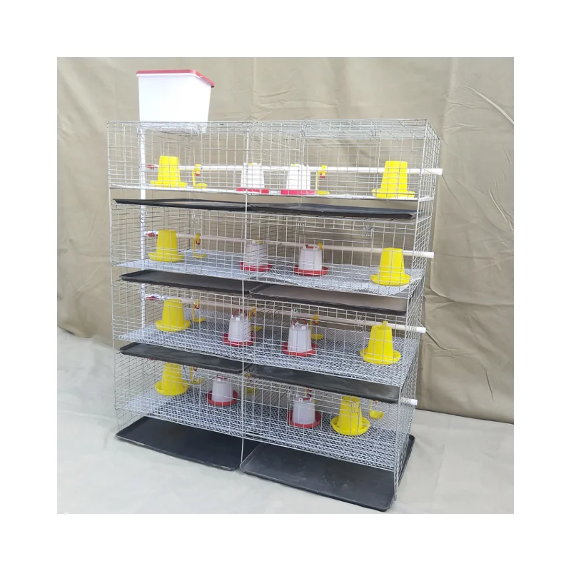 Best selling H type galvanized Brooder cage little baby chick equipment system for poultry breeding farm