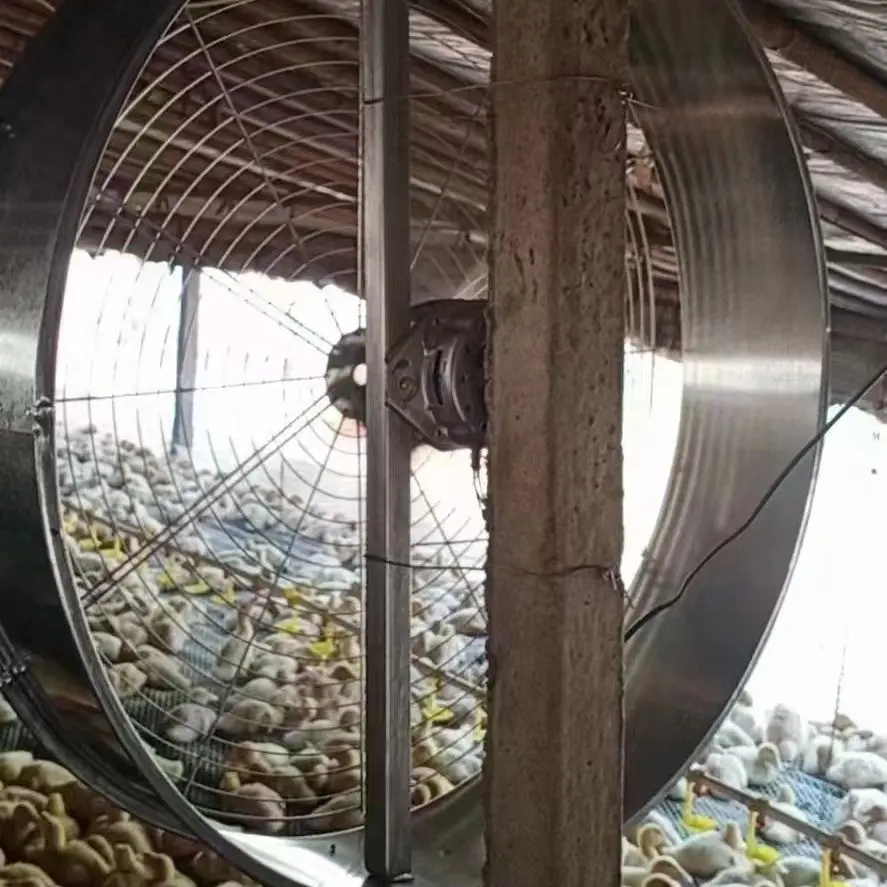 NEW Design Rolling Tilting Heavy Duty Cooling Air 32' 800mm 220V Industrial Blower Drum Fan