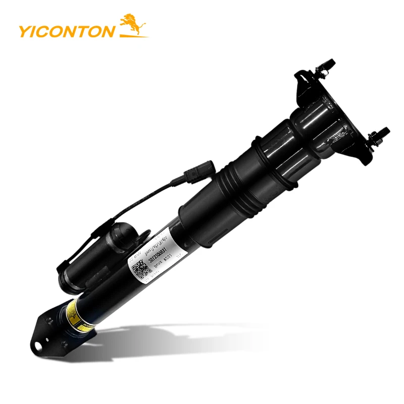 Car air suspension 2513202231 2513202931 2513203031 Rear air strut for Mercedes Benz R500 R350 W251