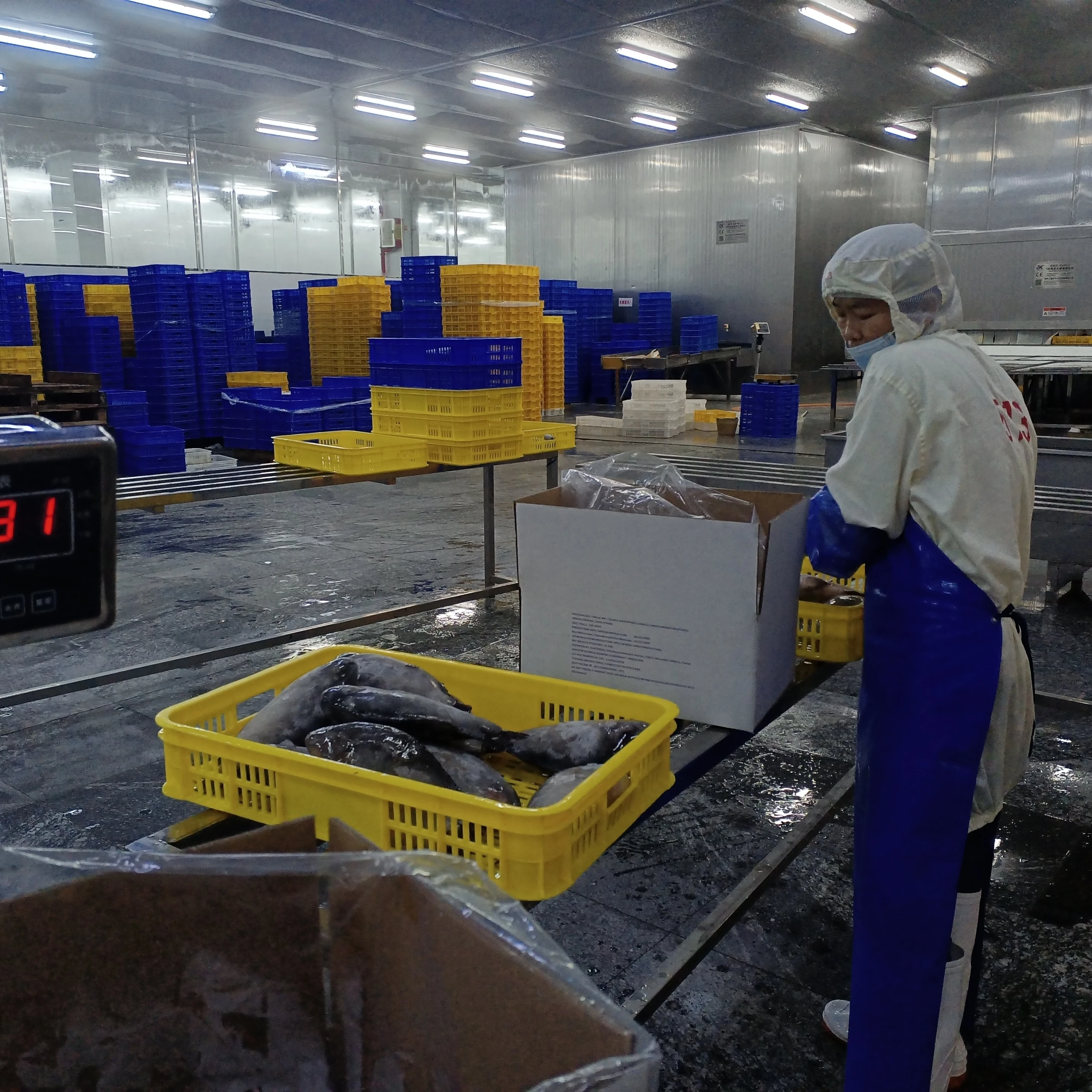 Factory China Producers Frozen Feed Fish Tilapia IQF Tilapia Wholesale Seafood Frozen Whole Round Nile Tilapia Fish