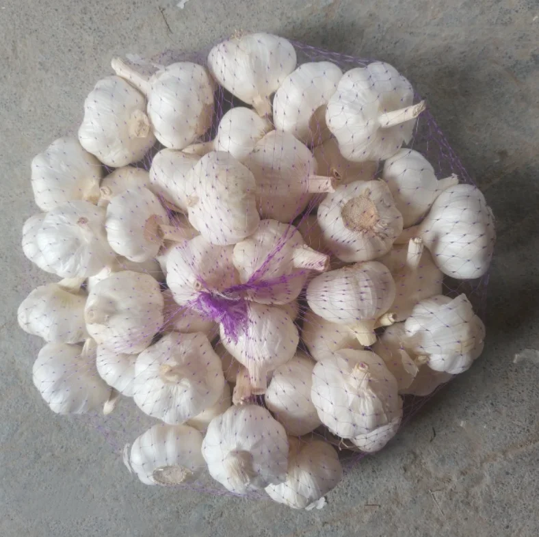 Chinese Wholesale pure white garlic chinese garlic normal natural garlic for sale