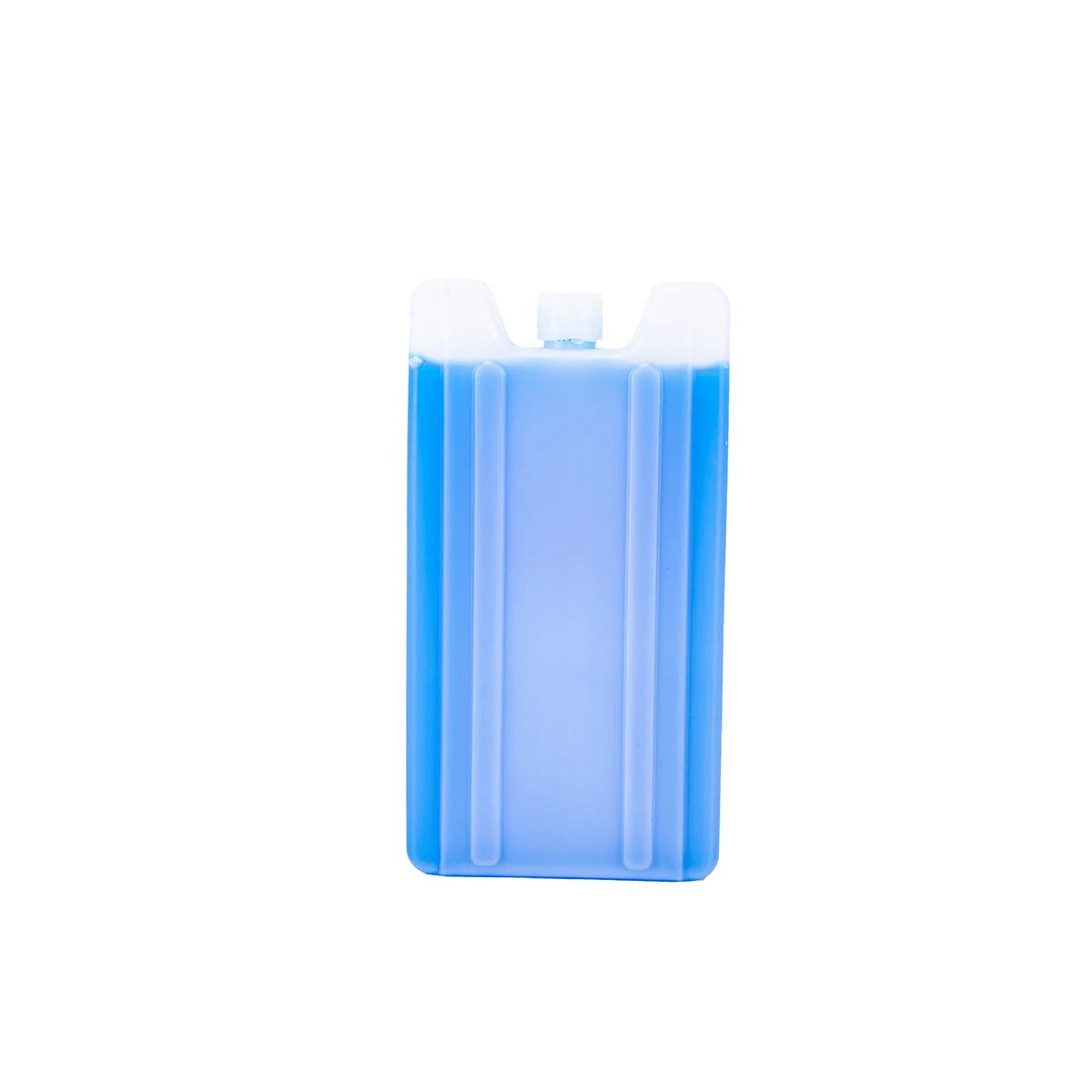 2021 Best Selling Medical Ice Box Cooler Freezer for Cold Storage Large Hard Plastic Ice Brick