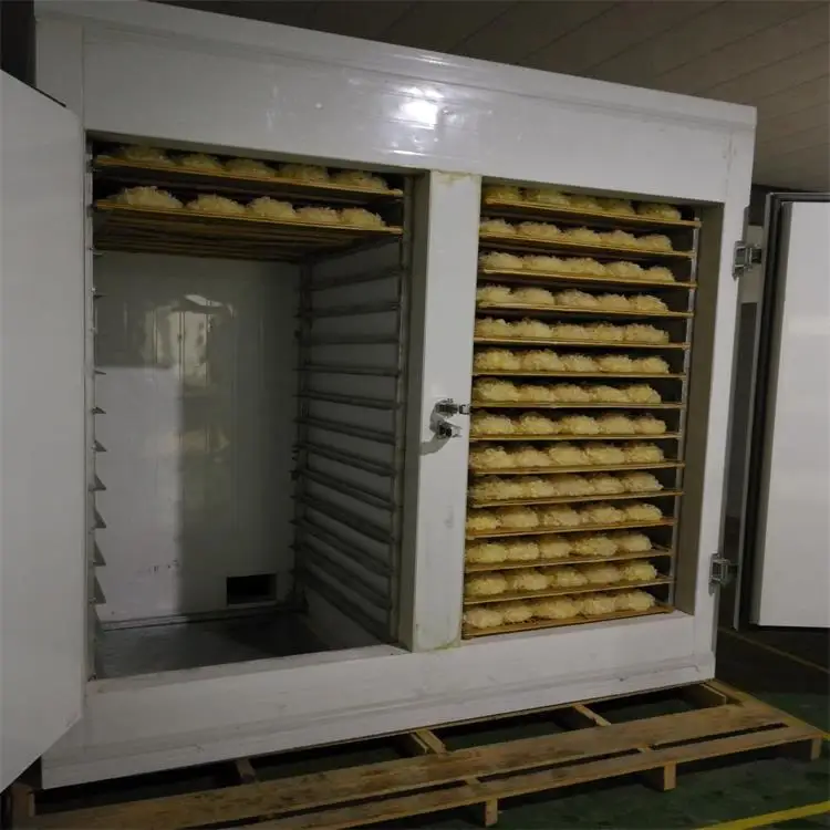 Hot Sale High dryer ginger Drying Machine tremella dehydrator