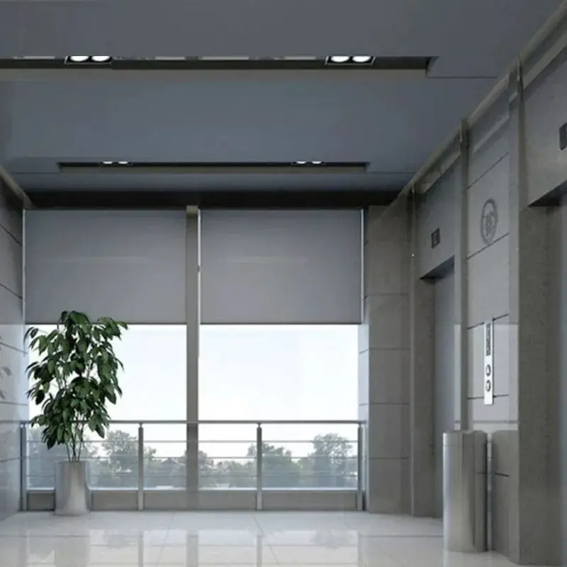 Elevator Lifts for Sale 1floor 3 Floor Small Residential Used Home Customized