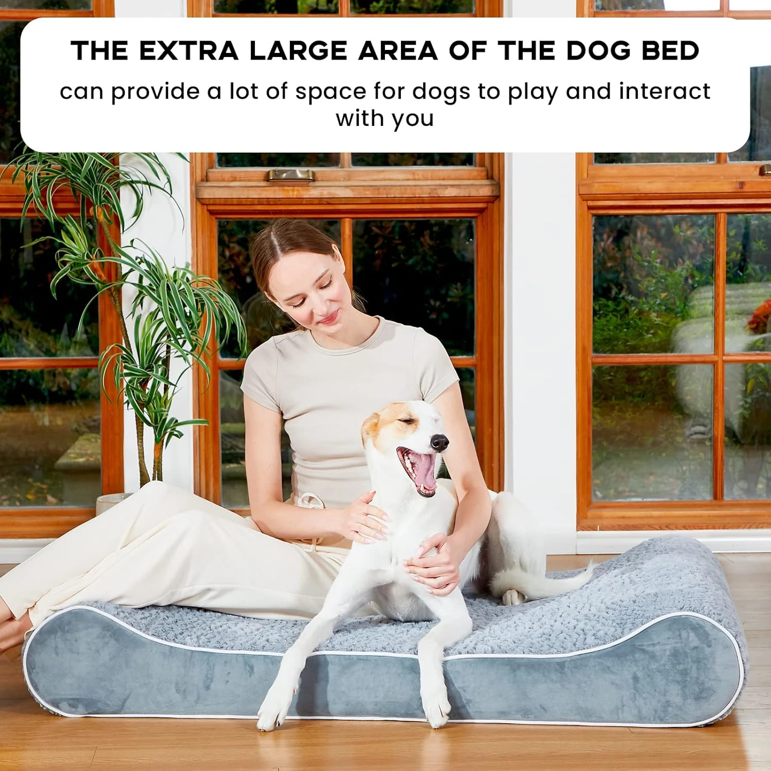 Medium Size Memory Foam Dog Bed with Anti-Slip Bottom Orthopedic Pet Waterproof Lining Removable Washable Cover Dogs Reptiles