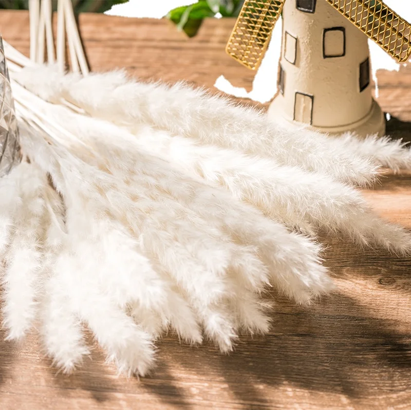 Магазин, лидер продаж, Натуральные сушеные цветы, букет из пампасной травы, Подарочный Настенный декор, Цветочная коробка