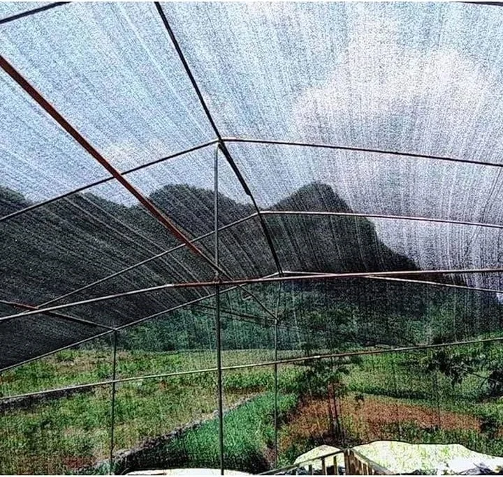 40% Shade To 80% Shade Dark Green/Black Agriculture Shade Net Good Quality Shadow Mesh