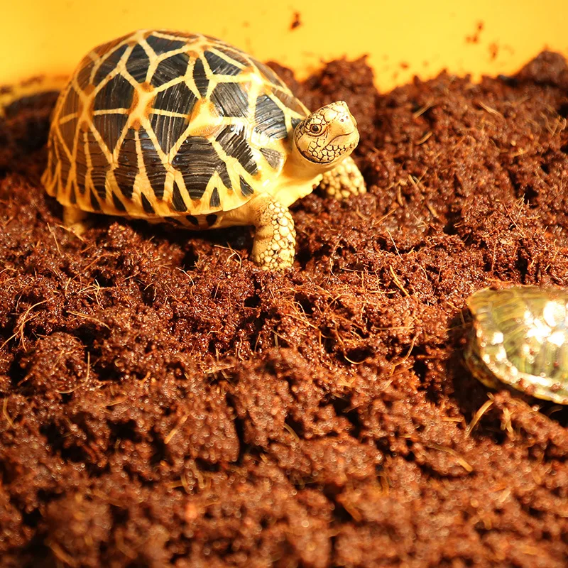 Climbing pet turtle coconut soil factory supply flower nursery Coconut Peat Nutritious Soil