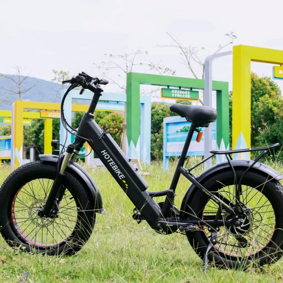 OEM/ODM e-bike 48v electric bike mountain bicycle fat tire e-bike for sale electric mountain bike full suspension