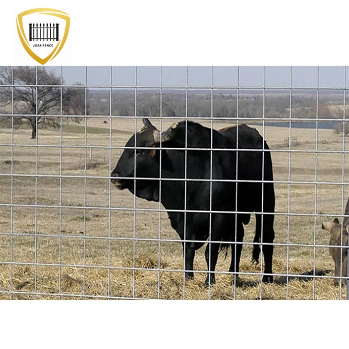 wholesale hot dip galvanized welded mesh goat sheep cattle hog livestock wire cattle panel 20 foot cattle panel 10 line 16 ft
