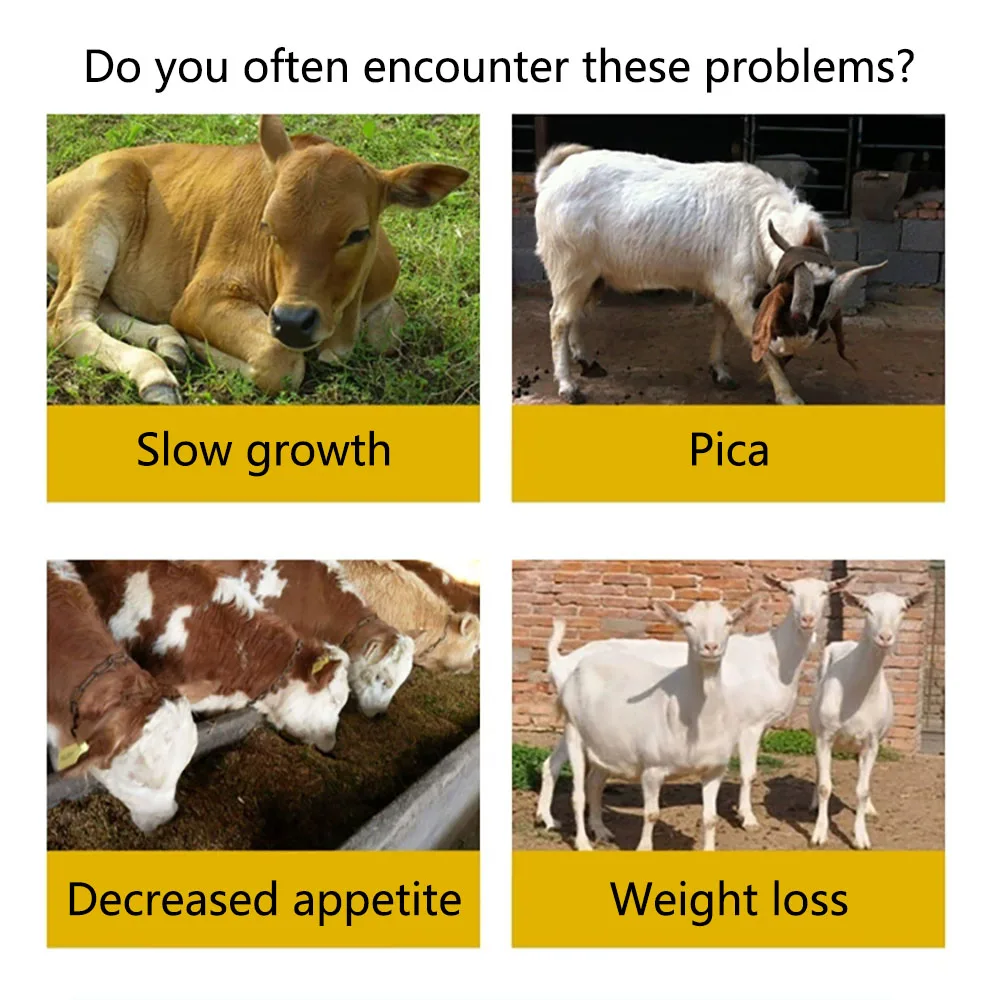 Buy animal feed maintain the balance of probiotic colonies sheep goat feed