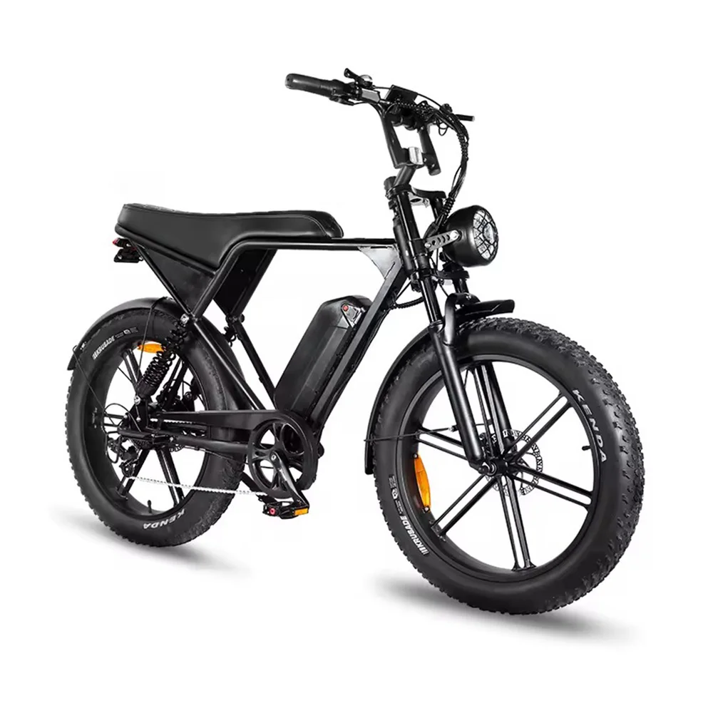 V8 Pro Plus 1000W 48V Electric Bike for Adults Dual Shock AbsorbersFat Tire Ebike 24 Inch Electric Off-Road Mountain Bicycle