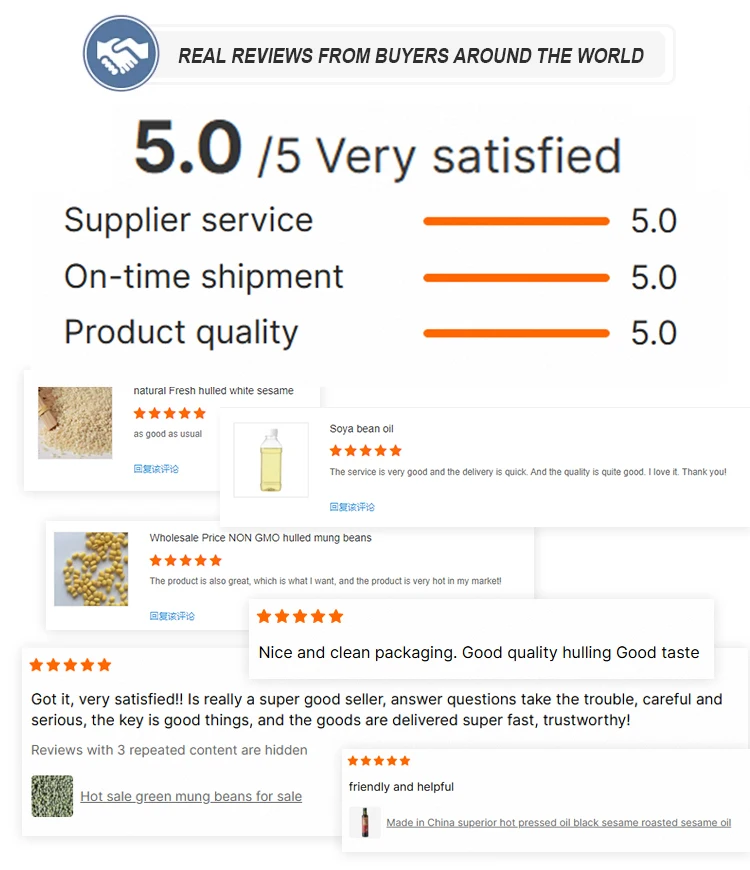 Top Quality Barley Grains Premium Barley Seeds Natural Raw Barley Malt Grain for Human Consumption