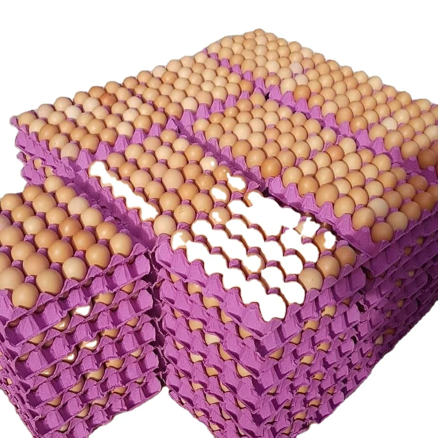 Оптовая цена, яйца для куриных столов, коричневые и белые яйца из Европы, лучшее качество, доступны свежие яйца для куриных столов