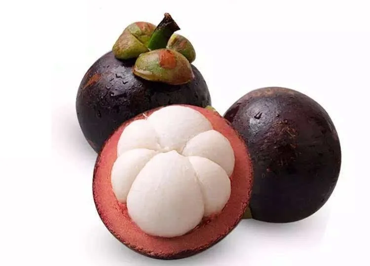 Factory  price Mangostin powder Alpha mangostin Mangosteen peel extract
