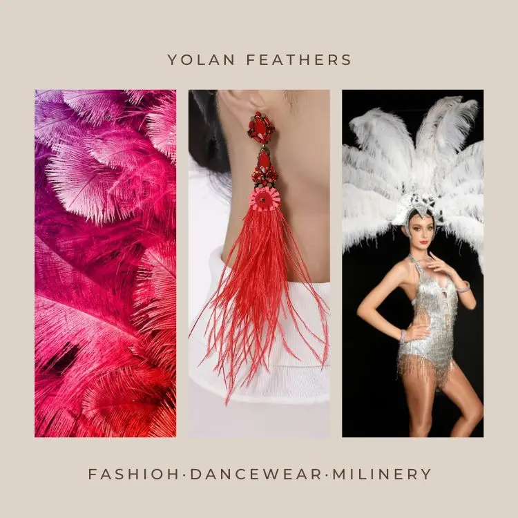 Yolan Introduction.jpg