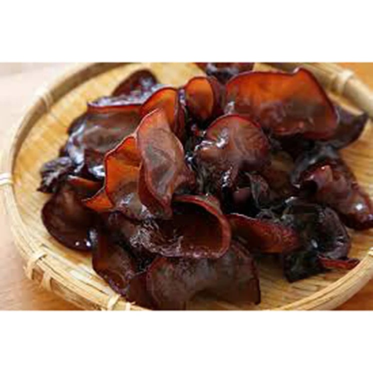 
Japan Organic 100% Natural Healthy Fresh Wholesale Mushroom Black Fungus 