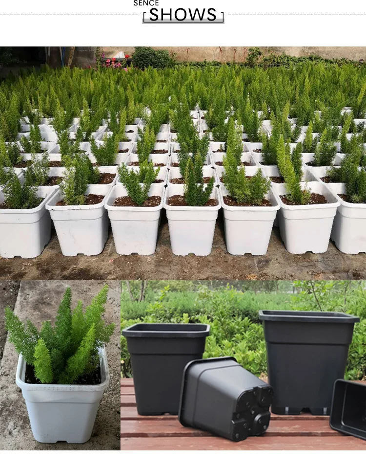 Factory wholesale Durable Seeding Square Citrus De Fleurs 1 2 3 5 6 7 10 15 20 25 Gallon Black Plant Pots Plastic Planter