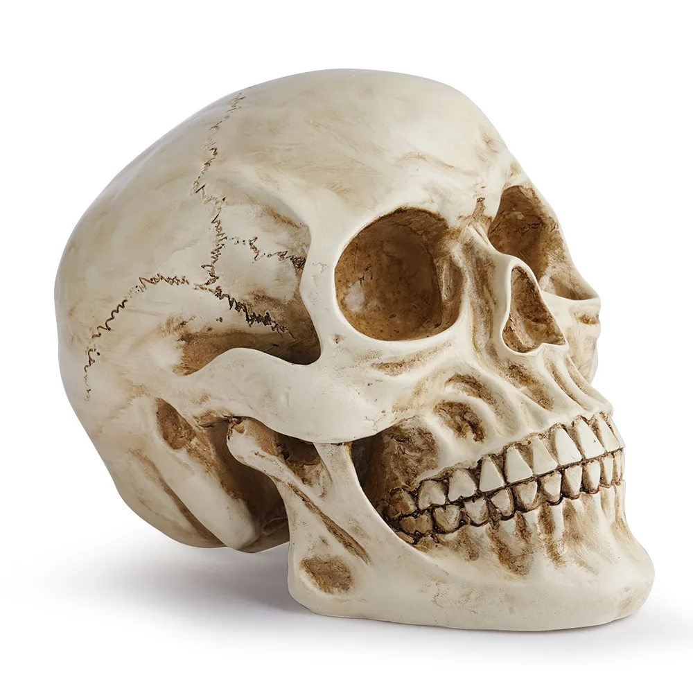 Resin Crafts Skull Model Teaching Aids Skull Animal Skull Halloween Props Fancy Dress Ball