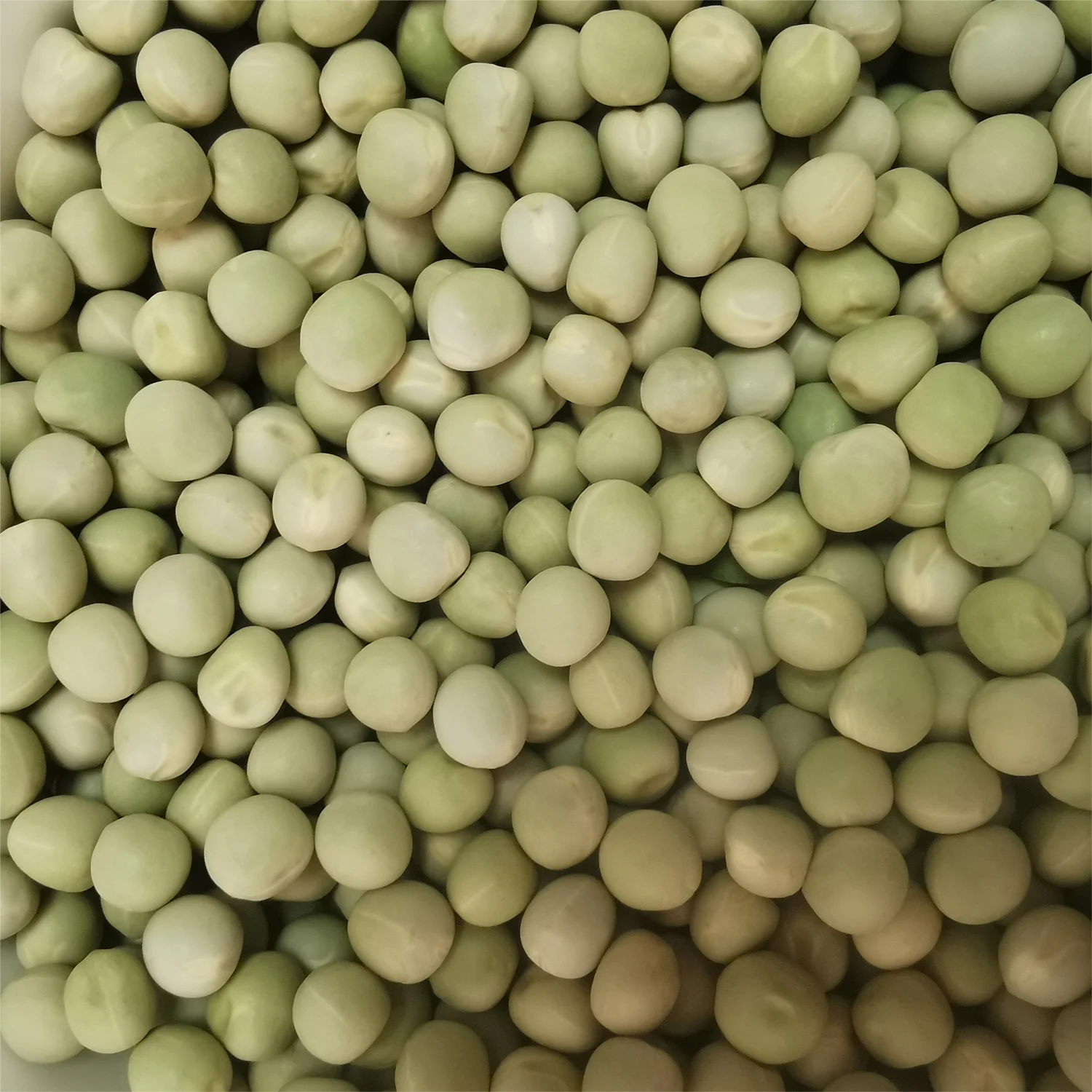 Dried Green Pea Peeled Green Peas Human Food Grade High Quality And Purity Raw green Peas