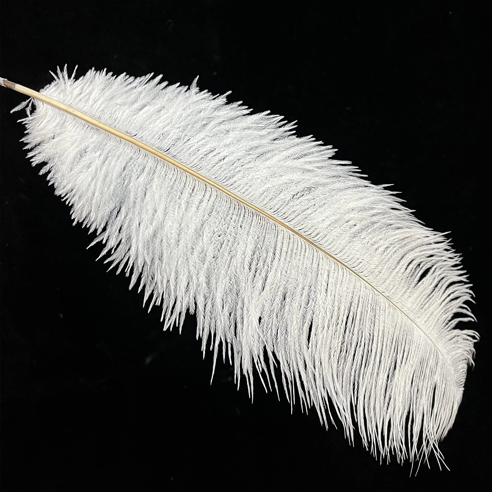 Wholesale cheapest dyed 15-65 cm ostrich feathers for wedding rave party