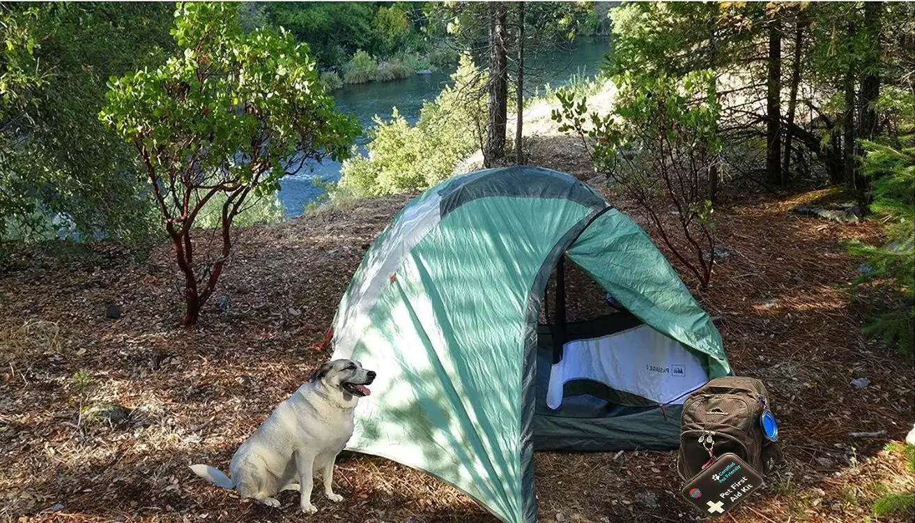 Oripower Custom Design Amazon Hot Selling Wholesale Pet First Aid Kit EVA Case Bag For Dogs Compact Mini Pet First Aid Kit