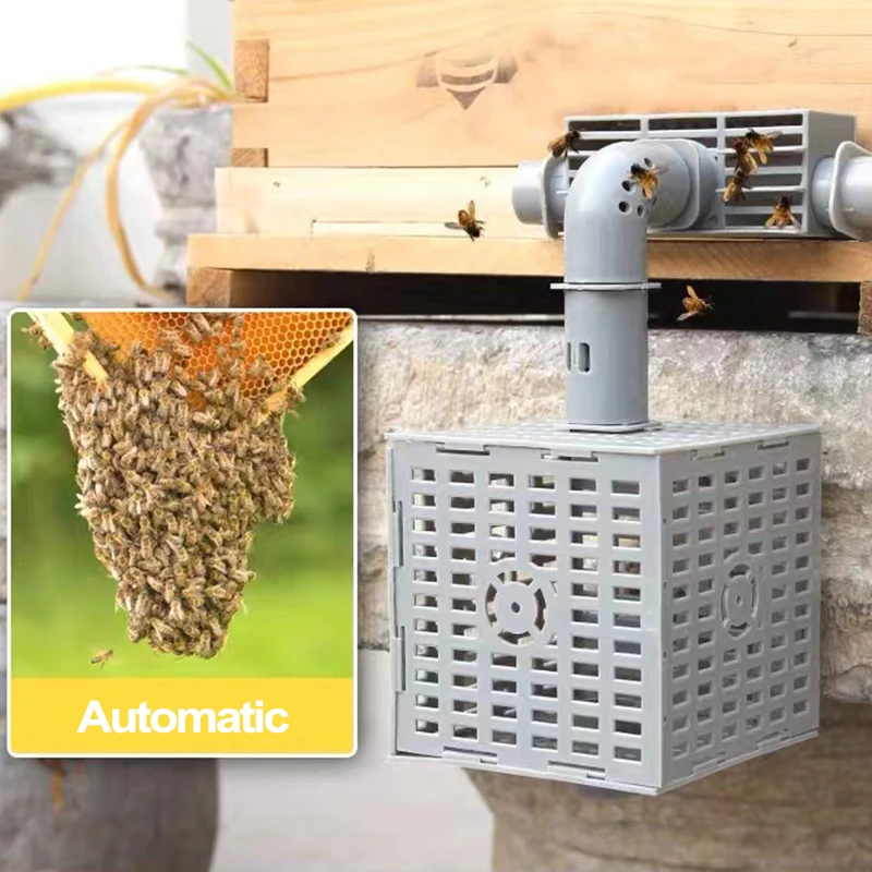 Automatic Dividing Beehive Beekeeping Tool Anti-escape Isolation Bee Tool Queen Rearing Cage