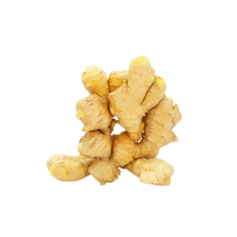 100% natural ginger free herbal products high quality best price ginger from China supplier of whole ginger