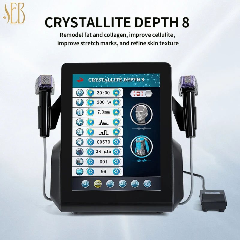 4 Free Needles 2 In 1 Machine Micro Needle RF Device microneedle mfr sfr rf