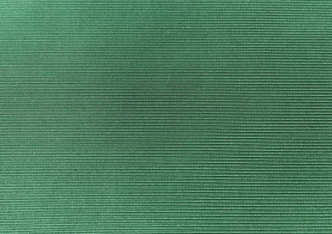Army Green 100% Polyester Oxford Fabric for Raincoat and Rain Tarpaulin