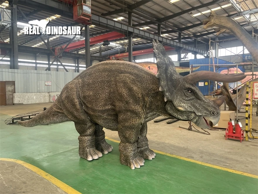 Adventure park realistic triceratops dinosaur costume for two performer