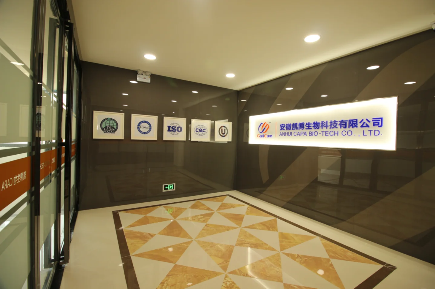 Wholesale Bulk Garlic Oil Pure Steam Distilled Garlic Oil with Competitive Price