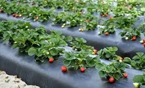 Оптовая и розничная продажа сельскохозяйственной пластиковой продукции на заказ