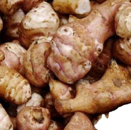 High Quality Jerusalem Artichoke Extract Inulin