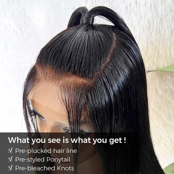 Pre-Styled Ponytail Glueless Human Hair Wig Custom Straight 5x5 Undetectable Lace Wig What You See Is What You Get