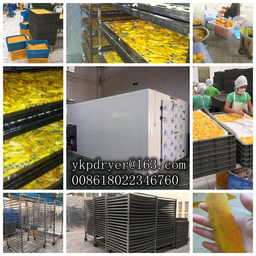 factory direct sale avocado drying machine drying all kinds of food fruit drying oven