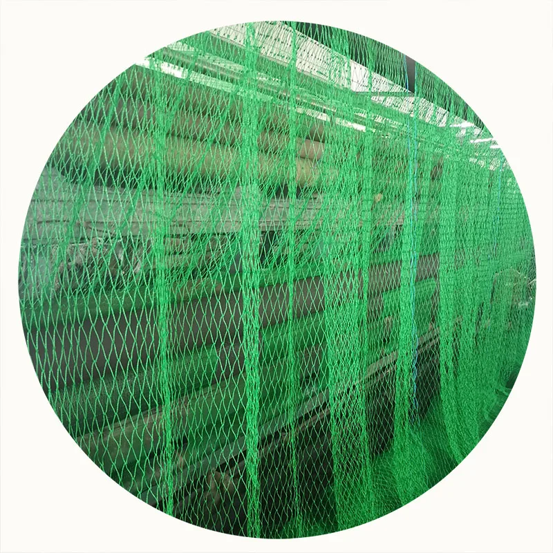fishing net green color Phillipne fishing rang net