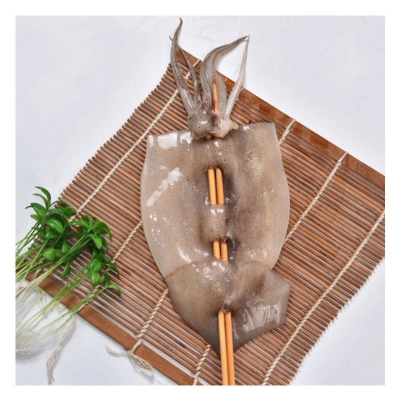 Exported Good Quality Top Fresh Illex Squid Frozen Seafood Export Argentina Squid