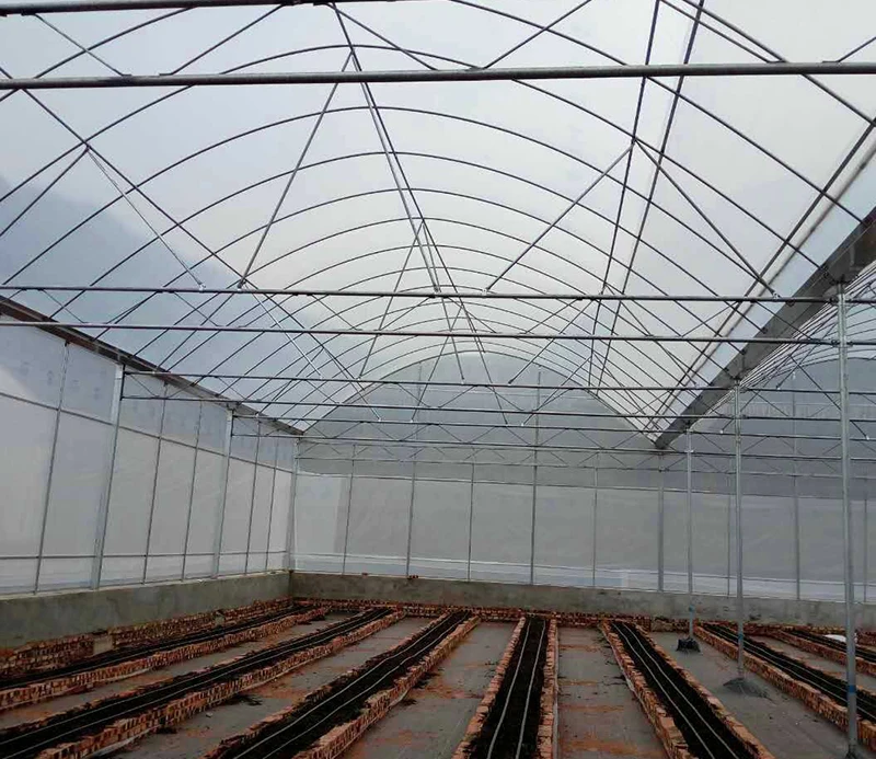 Hot New Agricultural Greenhouses Multi-Span Growing Plastic Film Greenhouse with Promotional Price