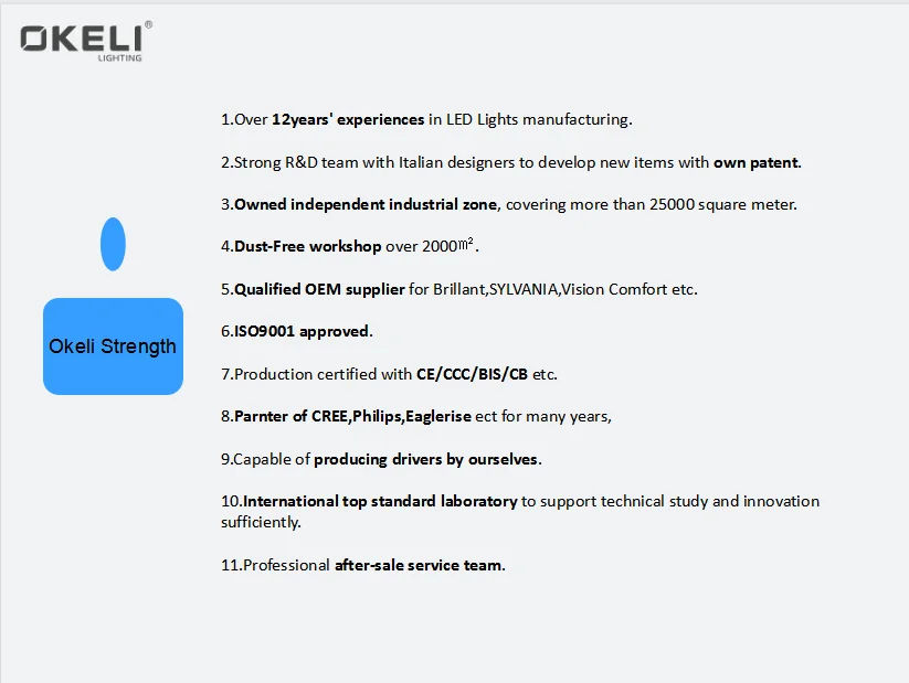 OKELI Indoor Hotel Modern Small Single Head Ceiling Light Kitchen Led Chandelier