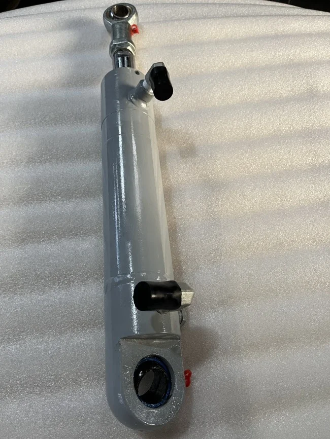 Boat Hydraulic Cylinder for Rudder Ship Steering  Double Acting Customized Hot Sale Cheap Price