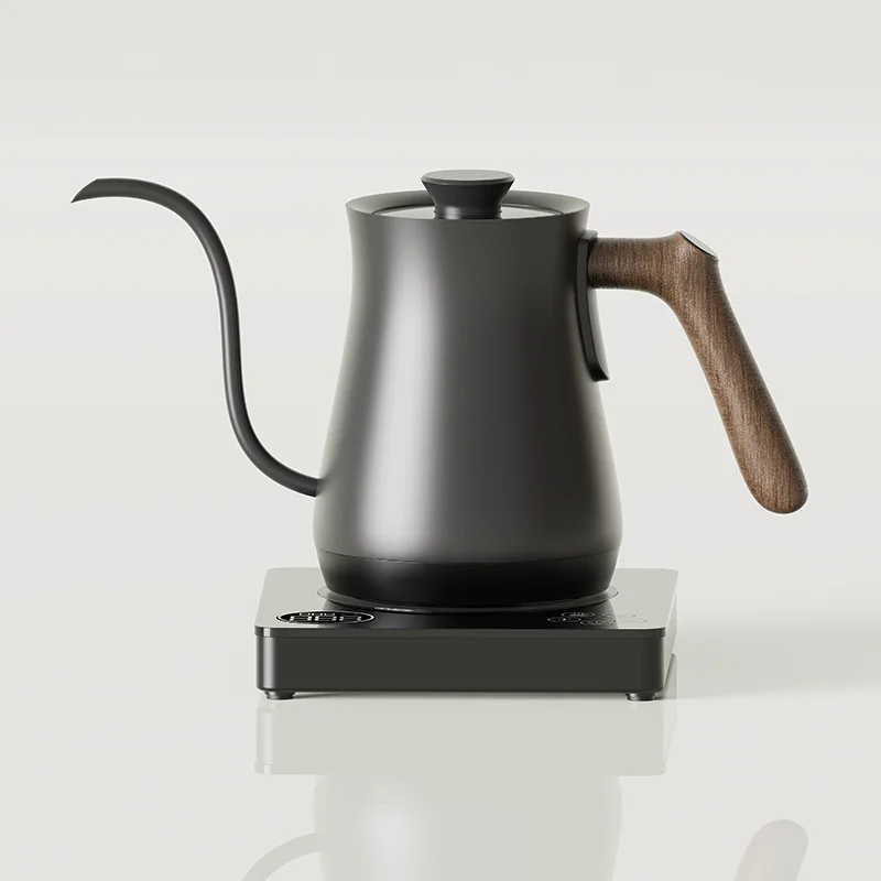 Ranbem Pour Over Gooseneck Coffee Kettles 1000W Quickly Heating and Keep Warm 4 hours Settings Glass Panel Digital Display