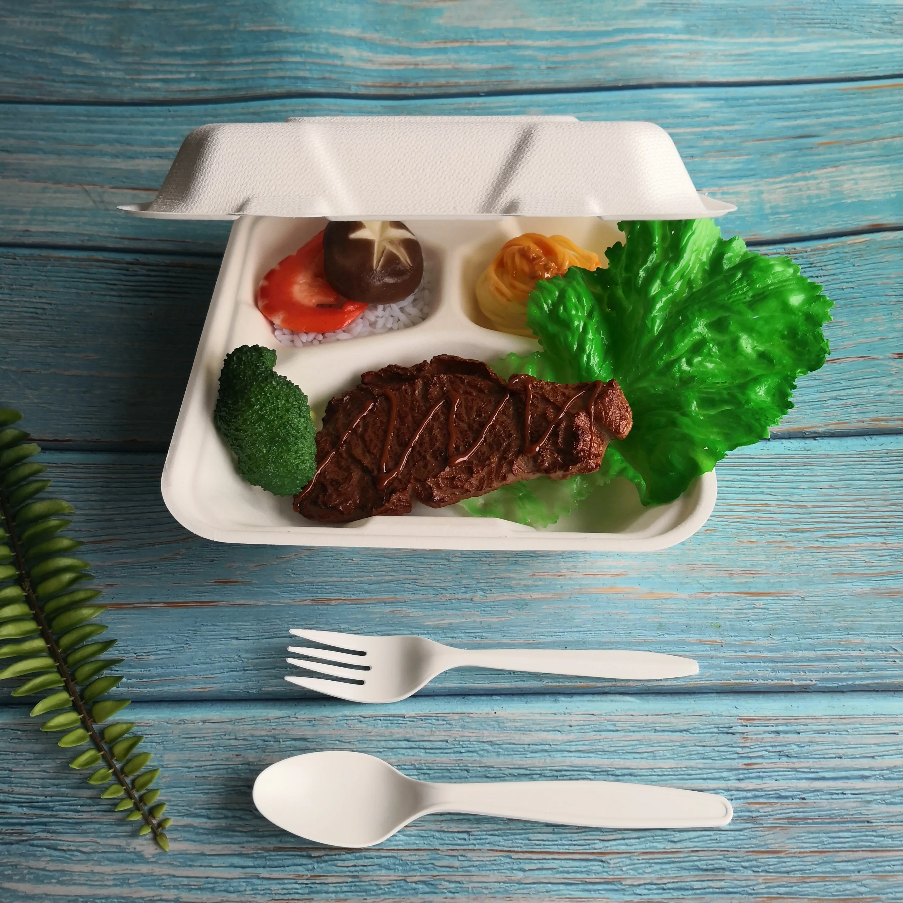 Disposable custom clam shell three compartment compostable container