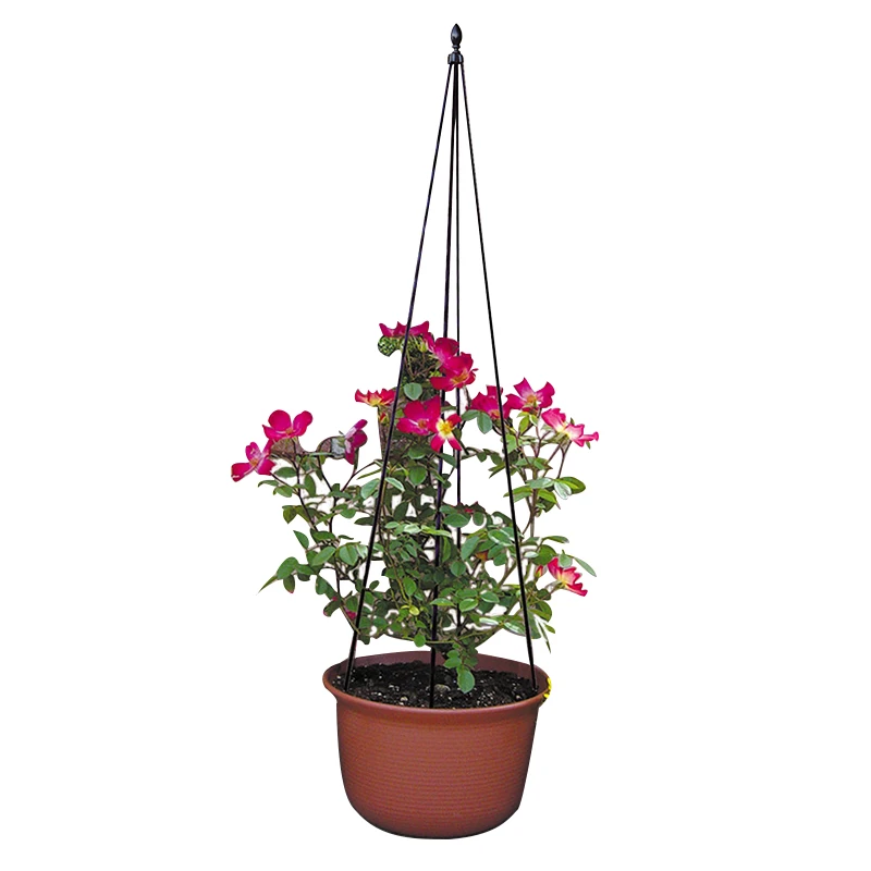 Rose Flower Growing Plant Support Rack Outdoor Pyramid Garden Obelisk